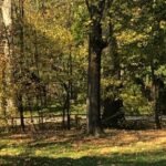 Park v Rožnově pod Radhoštěm