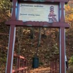 Jurkovičová rozhledna ve Rožnově pod Radhoštěm